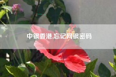 中银香港,忘记网银密码