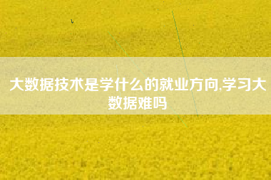 大数据技术是学什么的就业方向,学习大数据难吗