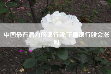 中国最有潜力的银行股,下周银行股会涨吗