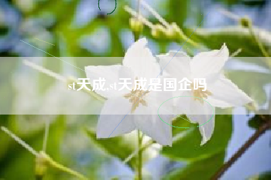 st天成,st天成是国企吗