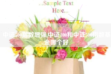 中证500指数增强,中证100和中证500指数基金哪个好