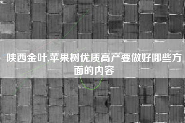 陕西金叶,苹果树优质高产要做好哪些方面的内容
