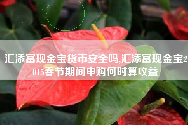 汇添富现金宝货币安全吗,汇添富现金宝2015春节期间申购何时算收益
