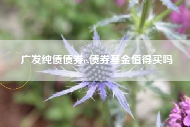 广发纯债债券c,债券基金值得买吗