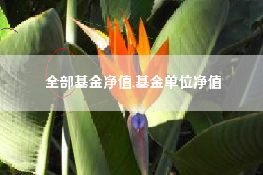 全部基金净值,基金单位净值