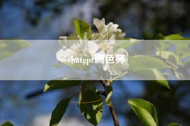chatgpt调色师