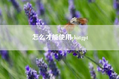 怎么才能使用chatgpt