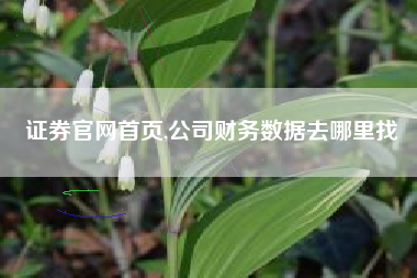 证券官网首页,公司财务数据去哪里找