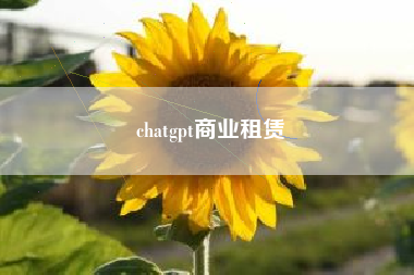 chatgpt商业租赁
