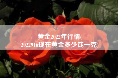 黄金2022年行情(
2022916现在黄金多少钱一克) 黄金2022年行情(
2022916现在黄金多少钱一克)