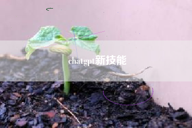 chatgpt新技能