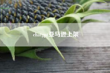 chatgpt亚马逊上架