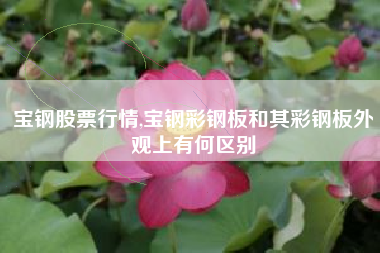 宝钢股票行情,宝钢彩钢板和其彩钢板外观上有何区别