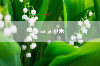 chatgpt 小米