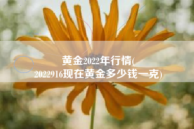黄金2022年行情(
2022916现在黄金多少钱一克) 黄金2022年行情(
2022916现在黄金多少钱一克)