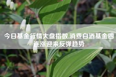 今日基金行情大盘指数,消费白酒基金四连涨迎来反弹趋势