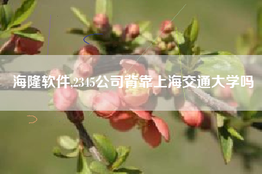 海隆软件,2345公司背靠上海交通大学吗