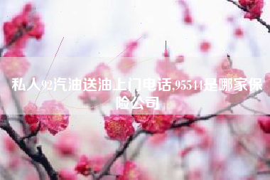 私人92汽油送油上门电话,95544是哪家保险公司