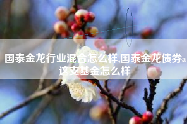 国泰金龙行业混合怎么样,国泰金龙债券a这支基金怎么样