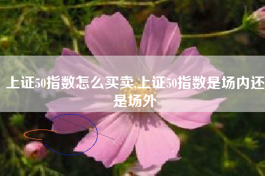 上证50指数怎么买卖,上证50指数是场内还是场外