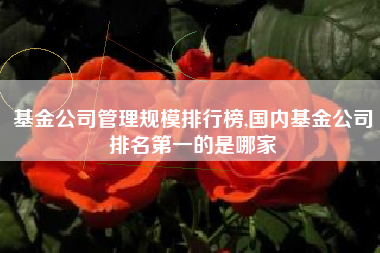 基金公司管理规模排行榜,国内基金公司排名第一的是哪家