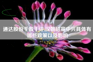 通达股份千股千评,汉朝昭宣中兴具体有哪些政策以及影响