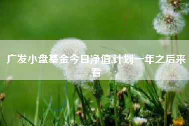 广发小盘基金今日净值,计划一年之后来看
