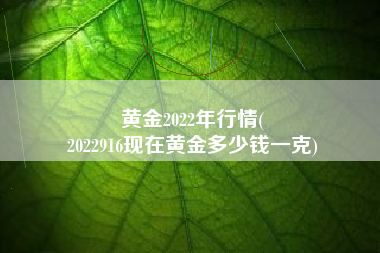 黄金2022年行情(
2022916现在黄金多少钱一克) 黄金2022年行情(
2022916现在黄金多少钱一克)