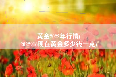 黄金2022年行情(
2022916现在黄金多少钱一克) 黄金2022年行情(
2022916现在黄金多少钱一克)