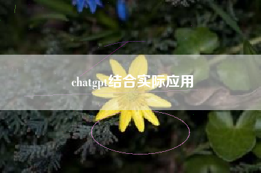 chatgpt结合实际应用