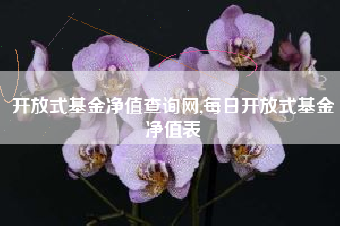 开放式基金净值查询网,每日开放式基金净值表