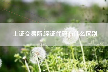 上证交易所,深证代码有什么区别