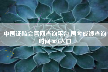 中国证监会官网查询平台,国考成绩查询时间2021入口