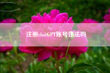 注册chatGPT账号违法吗