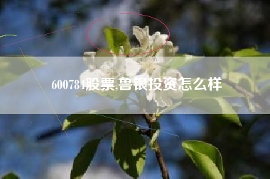 600784股票,鲁银投资怎么样