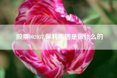股票002037,保利集团是做什么的