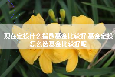 现在定投什么指数基金比较好,基金定投怎么选基金比较好呢
