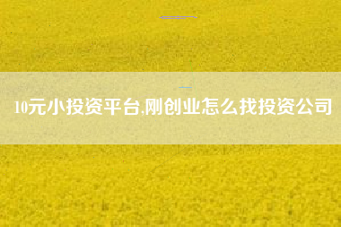 10元小投资平台,刚创业怎么找投资公司