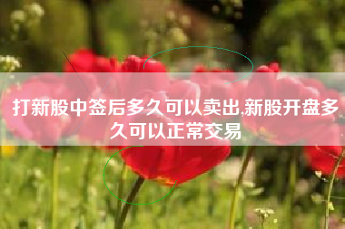 打新股中签后多久可以卖出,新股开盘多久可以正常交易