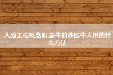 人脑工程概念股,最牛的炒股牛人用的什么方法