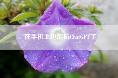 在手机上也能玩ChatGPT了