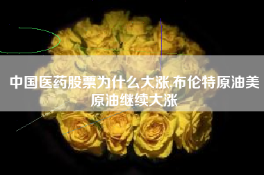 中国医药股票为什么大涨,布伦特原油美原油继续大涨
