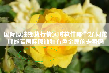 国际原油期货行情实时软件哪个好,同花顺能看国际原油和有色金属的走势吗