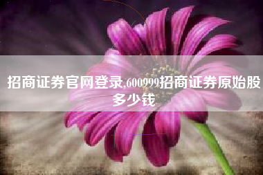 招商证券官网登录,600999招商证券原始股多少钱