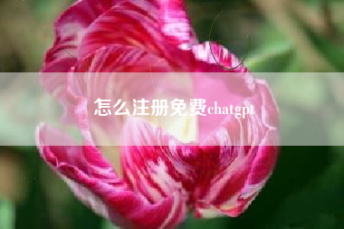 怎么注册免费chatgpt