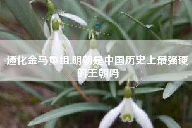 通化金马重组,明朝是中国历史上最强硬的王朝吗