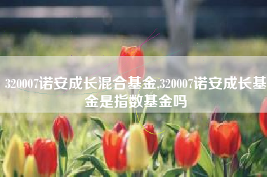 详细阅读:320007诺安成长混合基金,320007诺安成长基金是指数基金吗 320007诺安成长混合基金,320007诺安成长基金是指数基金吗