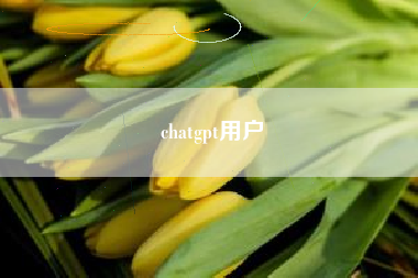 chatgpt用户