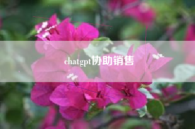 chatgpt协助销售