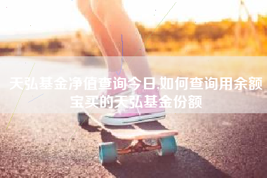 天弘基金净值查询今日,如何查询用余额宝买的天弘基金份额
